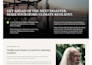 develop wordpress website professionally